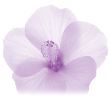 keratine largeflower_styling_CMYK