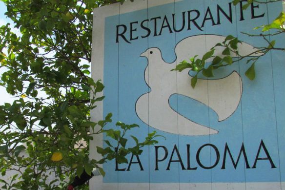 la-paloma