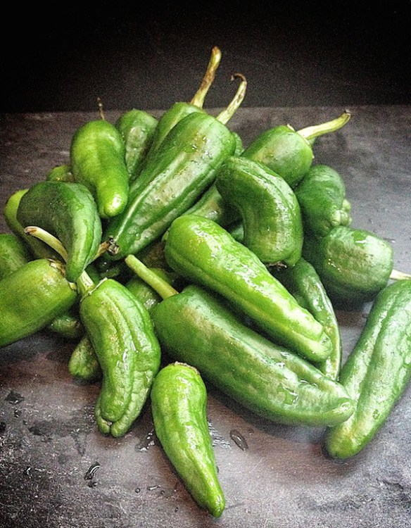 piementos-de-padron-2