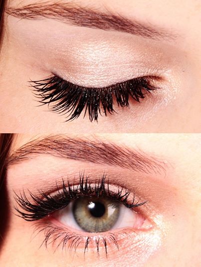 541545_646310988715962_1077832184_n