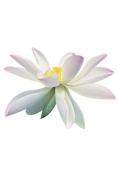 mieux_comprendre-anti_age-belle_de_jour