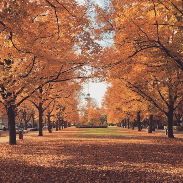 autumninrotterdam3