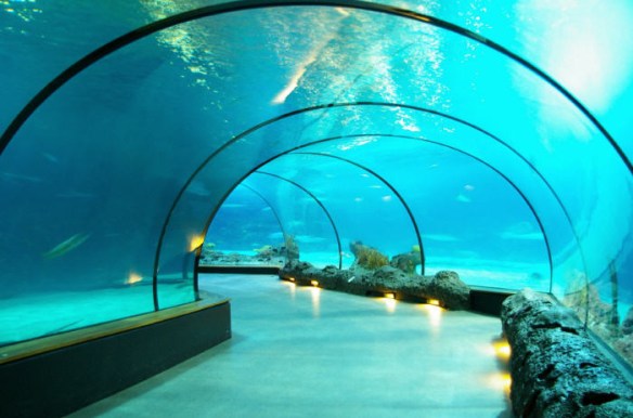 diergaarde-blijdorp-activiteit-rotterdam-3(p-activity,6750)(c-0)