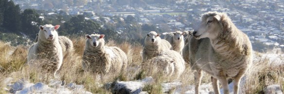 1397040672-Header_extra