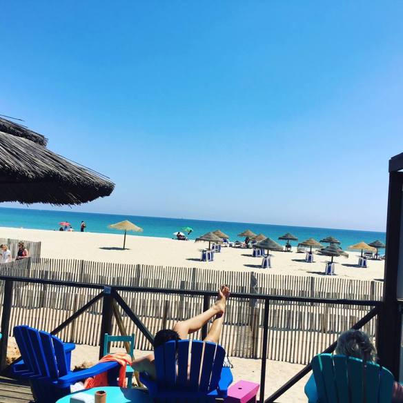 13174091_1141708282559988_109707100675044204_n